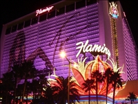 flamingo casino