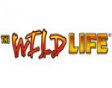 video lottery the wild life