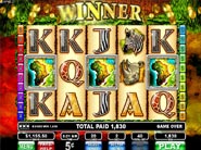 videolottery the wild life